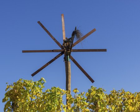 A klopotec, Glanz an der Weinstra&szlig;e, Styria, Austria