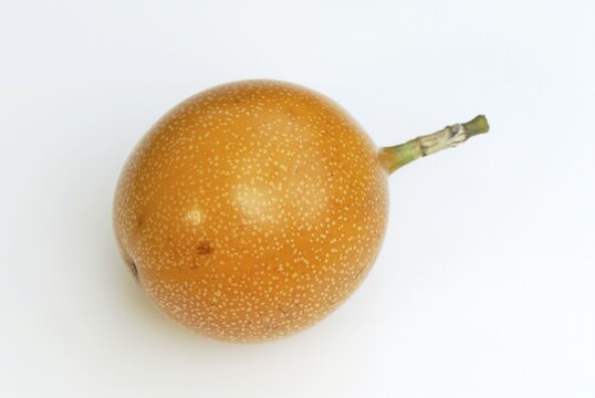 Sweet Granadilla fruit / (Passiflora ligularis)
