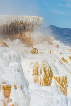 Sinter terraces with calcareous tuff deposits, hot springs, colorful mineral deposits, Palette Springs, Lower Terraces, Mammoth Hot Springs, Yellowstone National Park, Wyoming, USA