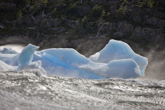 Icebergs in the Lago Grey, Torres del Paine National Park, Patagonia, Chile, South America