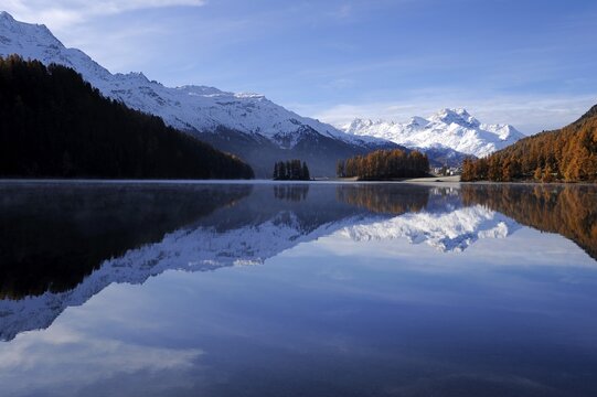 Lake Champfer with larch forest with autumnal colouring, Mt Piz da la Margna at back, St. Moritz, Engadine, Grisons, Switzerland, Europe