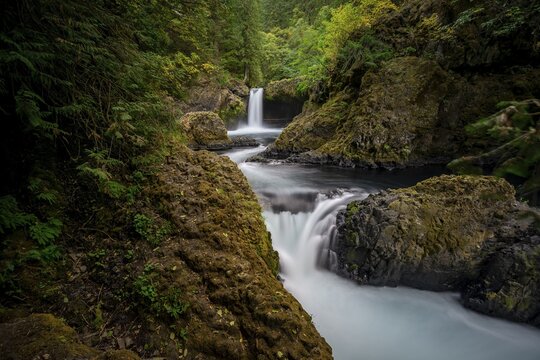 Spirit Falls, waterfall flowing over ledge, basalt rock, long exposure, autumn dense forest, Washington, USA