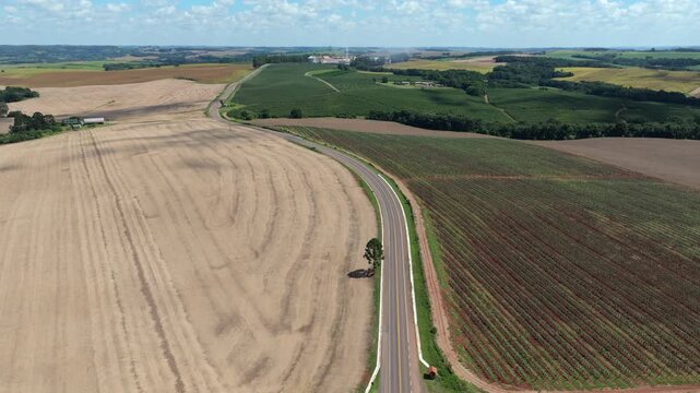 Apple and soybean fields with a rural road in wide aerial view near Muitos Capoes, Brazil.