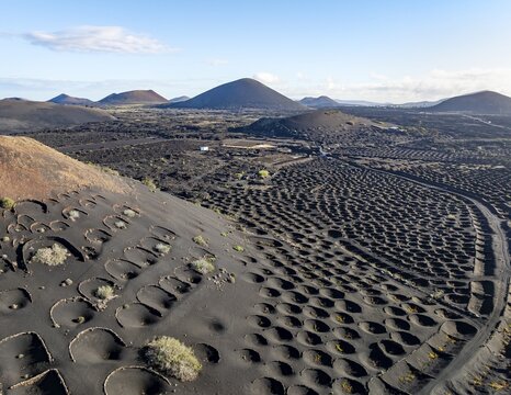 Typical drywall viticulture in volcanic landscape, on volcanic ash, lapilli, aerial view, vines, La Geria wine-growing region, Lanzarote, Canary Islands, Spain