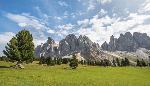Mountain meadow near Gschnagenhardt Alm, in the back Geislerspitzen, Villn&ouml;sstal, Sass Rigais, Dolomites, South Tyrol, Italy