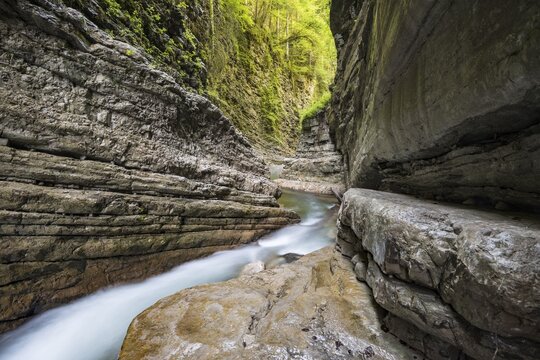 Tauglbachs river flowing through the gorge, Taugl, Hallein District, Salzburg, Austria