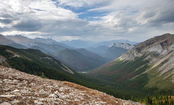 View into forested valley, mountain peak and Ashlar Ridge in the back, Sulphur Skyline Trail, Jasper National Park, Alberta, Canada
