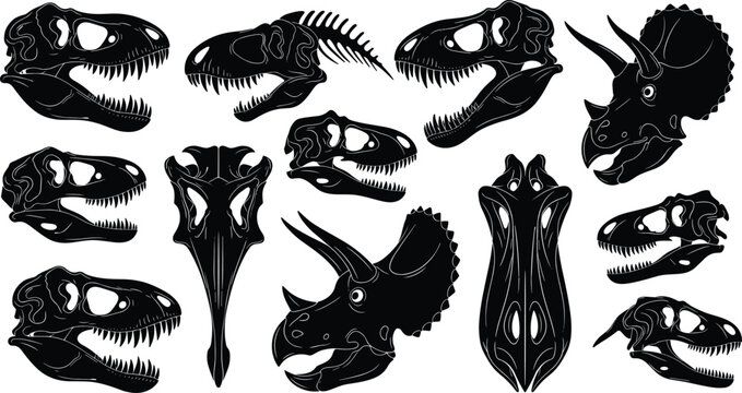 Collection of black and white dinosaur skulls silhouettes on transparent background.