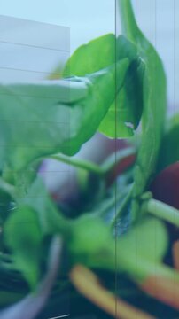 Vertical video: Overlay appearing, bars shifting while camera panning, visualizing data over greens