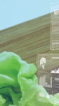 Vertical video: Camera shifting, lettuce entering, HUD panels sliding over tomatoes, showing charts