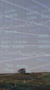 Vertical video: Feed starting overlay fading across sky, chart rising, tree and group showing trend