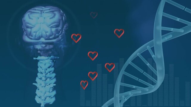 Animation of dna strand over networks of connections with dna strand and mathematical equations