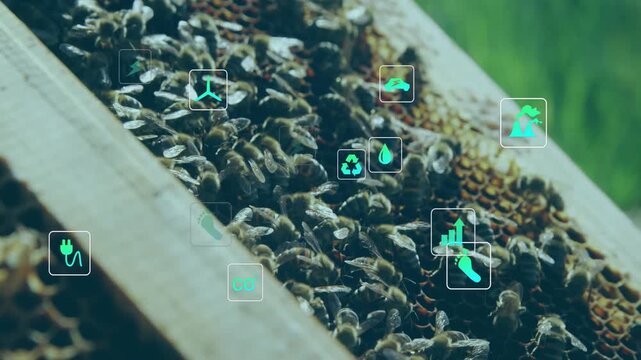 Opening on hive frame, icons fading over comb, camera zooming and bees crawling showing energy data