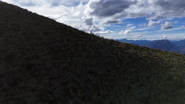 Flyover of hiker descending grassy mountain ridge on South Island NZ