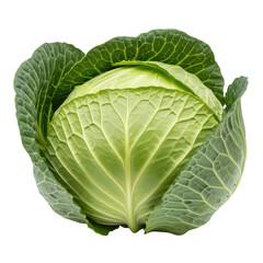 Obraz premium Fresh green cabbage with tightly packed leaves in a close-up view isolated on transparent background,png