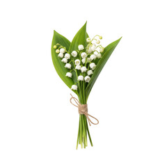 Fototapeta premium Bouquet of lily of the valley flowers tied with twine isolated on a transparent background