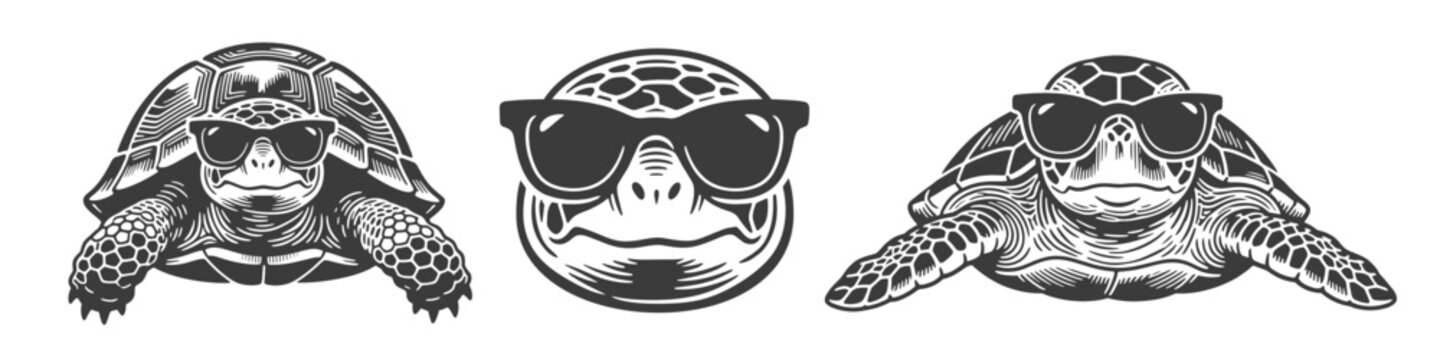 Cool tortoise and sea turtle wearing sunglasses, head and full-body, vintage monochrome vector illustration for tropical beach mascot or summer design
