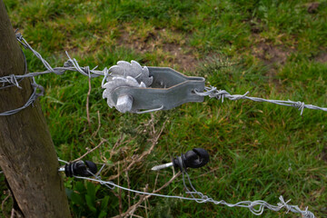 Tendeur crantés pour tendre une clôture dans un champ © luzulee