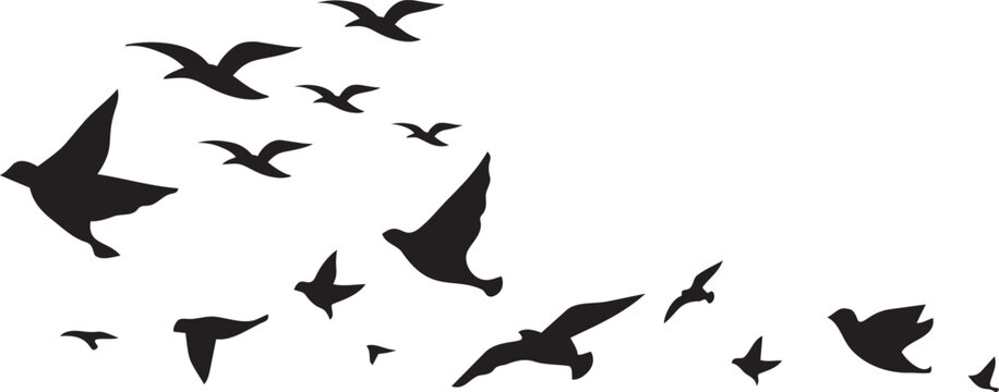 Soaring Silhouettes: A flock of birds, captured in elegant silhouette against the sky, conveying a sense of freedom, travel, and the boundless spirit of nature.png