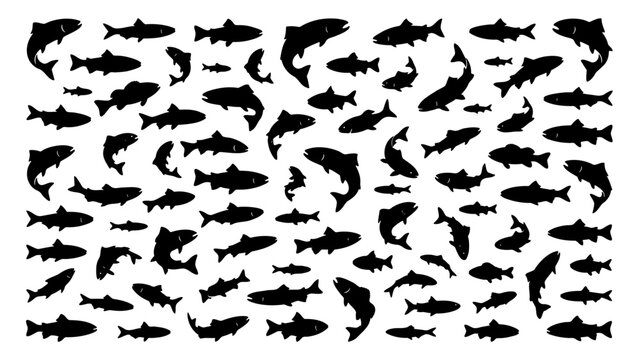Vintage fish silhouette collection, black textured salmon and trout icons, rustic aquatic animal vector set for fishing and seafood branding