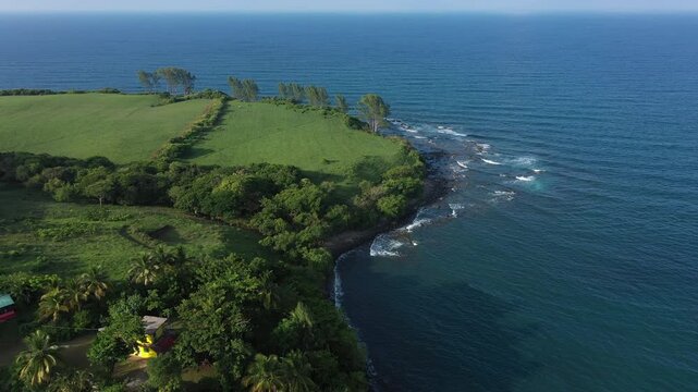 Tropical foliage frames the Roca Partida beach of Arroyo de Liza, Veracruz, Mexico.