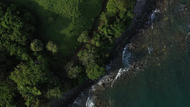 Tropical foliage frames the Roca Partida beach of Arroyo de Liza, Veracruz, Mexico.