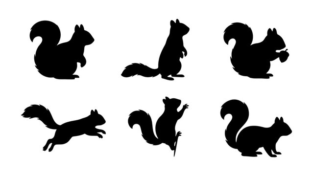 Squirrel silhouette vector set, black squirrel icons in various poses, forest animal collection with 6 elements, minimalist wildlife graphics