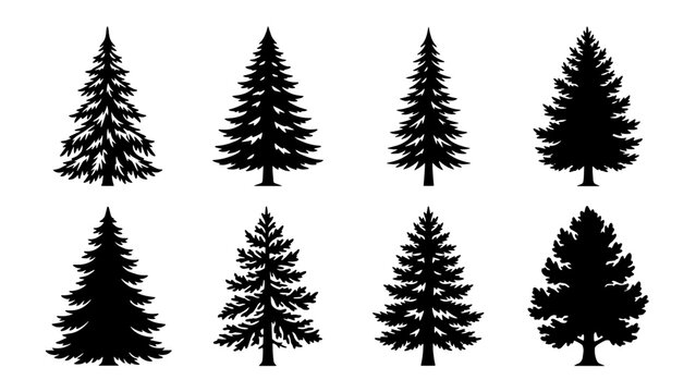 Black pine tree silhouettes, set of 8 conifer vector icons, minimalist evergreen forest fir trees, isolated spruce nature elements for landscape design