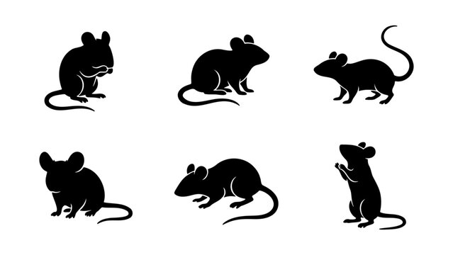 Minimalist mouse silhouette collection, set of 6 black rodent vector icons, simple rat shapes for logo design and wildlife graphics