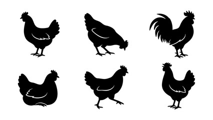 Chicken silhouette vector set, black rooster and hen icons on white background, 6 poultry farm bird elements for logo design and butcher shop branding © Tamim