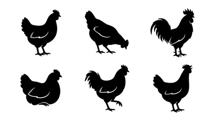 Black chicken silhouette collection, 6 farm bird vector icons, rooster and hen silhouettes for agriculture branding and poultry farm logos © Tamim