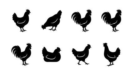 Black chicken silhouette collection, set of 8 rooster and hen vector icons, farm animal silhouettes for rustic logo design and poultry branding © Tamim