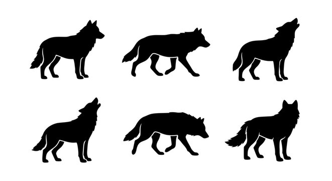 Wolf silhouette collection, set of 6 black timber wolf vector icons, howling and walking wild animal shapes, predatory canine side view graphics