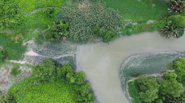 Aerial Labuh Banting River Bend With Mangrove Vegetation Patterns