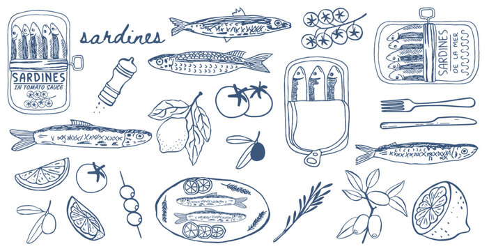 Hand drawn Mediterranean sardine in a can and seafood vector set. Blue line art featuring canned fish, lemon, olives, and tomatoes for packaging and menu design. hand drawn sketch in ink crayon style.