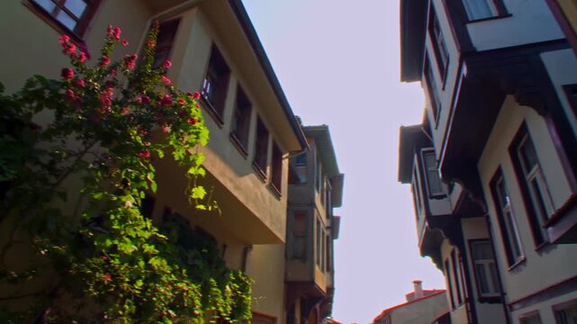 Backlit Historic Ottoman Houses with Green Foliage and Bay Windows in Bursa