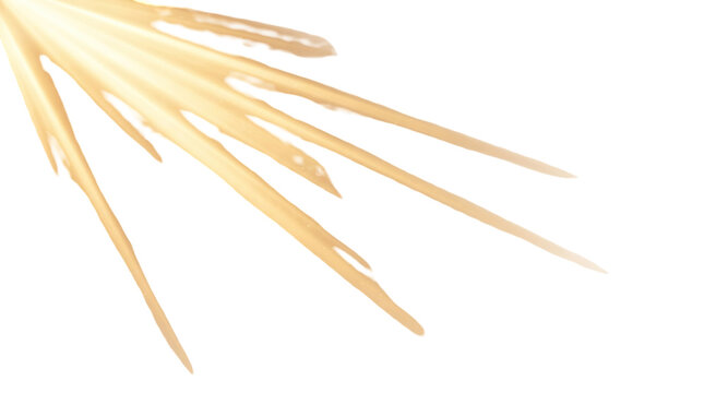 Golden muzzle flash explosion, bright fire spark effect, realistic gun shot flare for action film isolated on Transparent Background