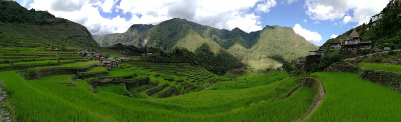Obraz premium Rice Terraces of the Philippine Cordilleras, rice fields in Banaue region,Philippines ,Asia, rice production traditional agriculture,World Heritage Site consisting of a complex of rice terraces panora