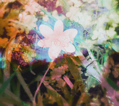 watercolor background with flowers