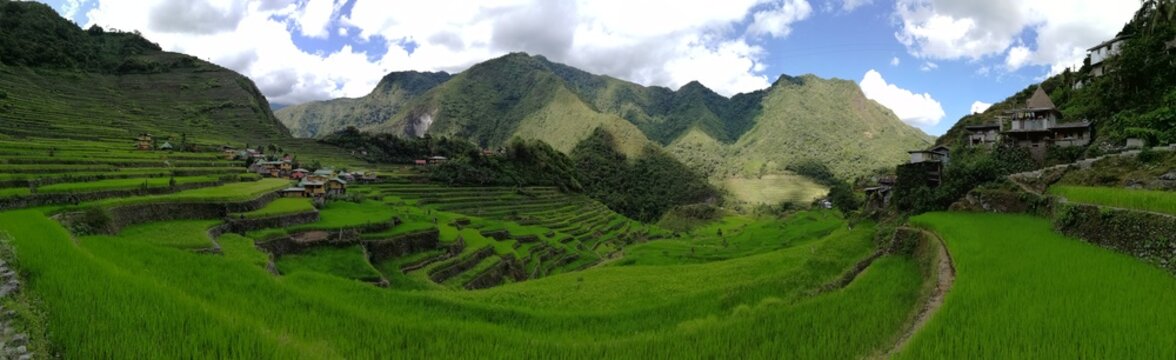 Rice Terraces of the Philippine Cordilleras, rice fields in Banaue region,Philippines ,Asia, rice production traditional agriculture,World Heritage Site consisting of a complex of rice terraces panora