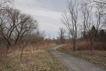 Obraz premium Curving gravel trail receding into a late winter or early spring park. Flanked by leafless trees, dry shrubs, and a cloudy horizon. High-angle perspective.
