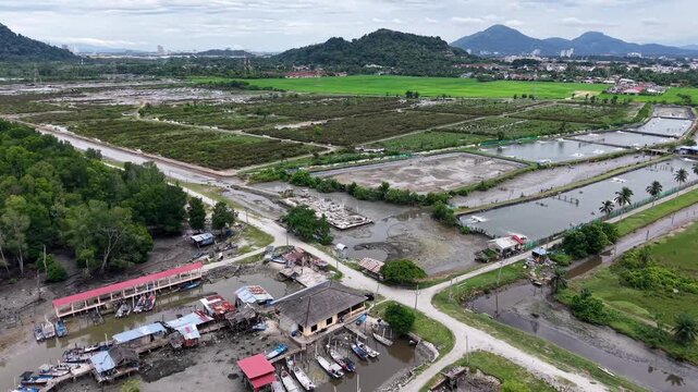 Drone View Over Juru Coastal Village And Aquaculture Ponds