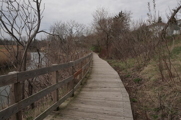 Fototapeta premium A perspective view of a wooden boardwalk curving alongside a river. A weathered timber fence runs parallel to the path, flanked by bare bushes and a grassy slope.