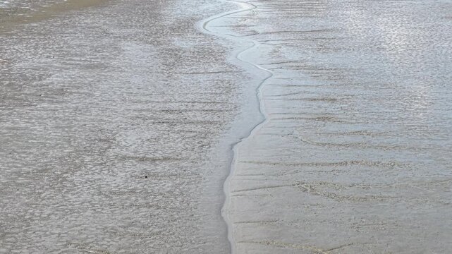 Aerial muddy coastal tidal flat with winding channel patterns
