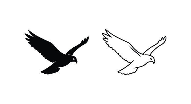 Eagle Symbols: Dual Contrast Black White Flying Birds Design Vector