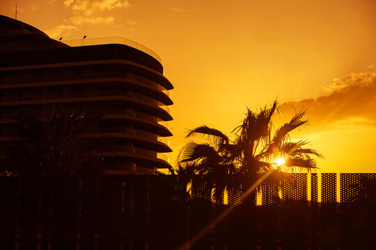 Sunset silhouette of modern hotel and palm trees by sea