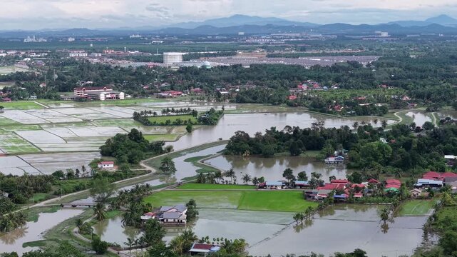 Labuh Banting Green Paddy Fields And Flooded Village Landscape