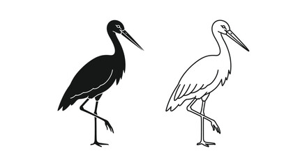 Fototapeta premium Black and White Wading Birds Illustration Guide Vector