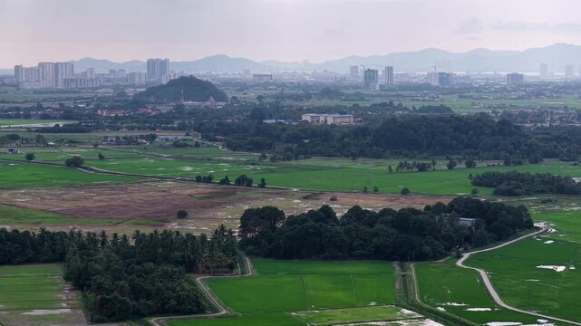 Aerial Labuh Banting Rice Fields and Distant City Skyline