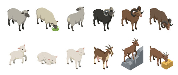 Fototapeta premium Isometric set of various farm animals including adult sheep, rams, young lambs, and brown goats in different poses and activities.